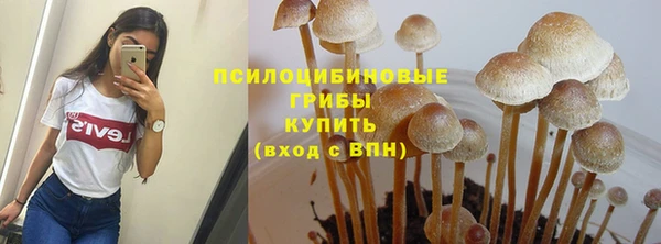 a pvp Кинешма